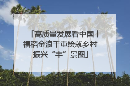 高质量发展看中国丨福稻金浪千重绘就乡村振兴“丰”景图