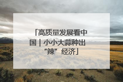 高质量发展看中国｜小小大蒜种出“辣”经济