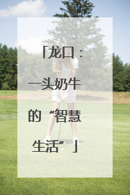 龙口：一头奶牛的“智慧生活”