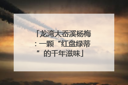 龙湾大岙溪杨梅：一颗“红盘绿蒂”的千年滋味