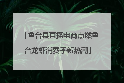鱼台县直播电商点燃鱼台龙虾消费季新热潮