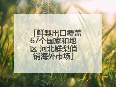 鲜梨出口覆盖67个国家和地区 河北鲜梨俏销海外市场