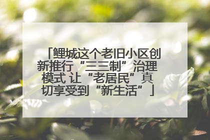鲤城这个老旧小区创新推行“三三制”治理模式 让“老居民”真切享受到“新生活”