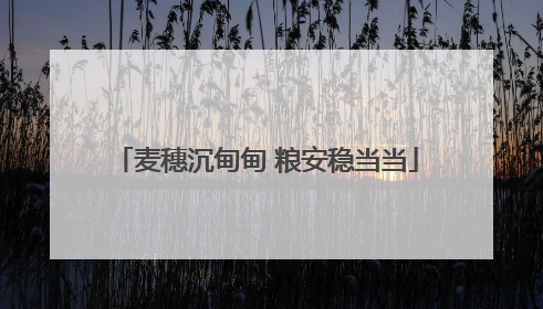 麦穗沉甸甸 粮安稳当当