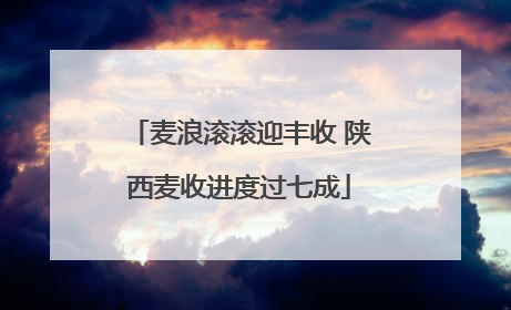 麦浪滚滚迎丰收 陕西麦收进度过七成