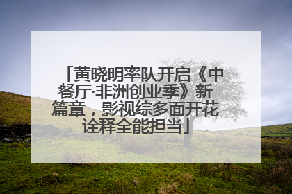 黄晓明率队开启《中餐厅·非洲创业季》新篇章，影视综多面开花诠释全能担当