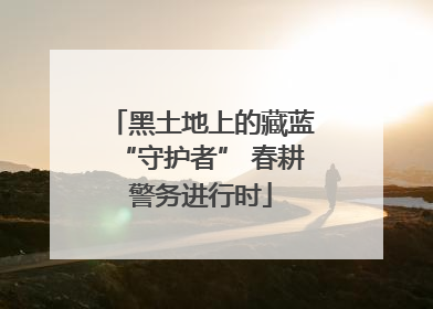 黑土地上的藏蓝“守护者” 春耕警务进行时