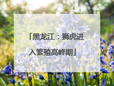 黑龙江：狮虎进入繁殖高峰期