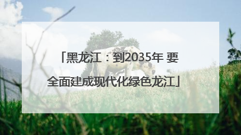 黑龙江：到2035年 要全面建成现代化绿色龙江