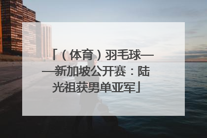 （体育）羽毛球——新加坡公开赛：陆光祖获男单亚军