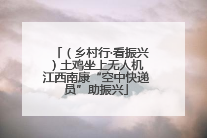 （乡村行·看振兴）土鸡坐上无人机 江西南康“空中快递员”助振兴