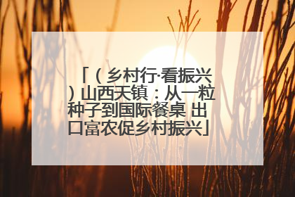 （乡村行·看振兴）山西天镇：从一粒种子到国际餐桌 出口富农促乡村振兴