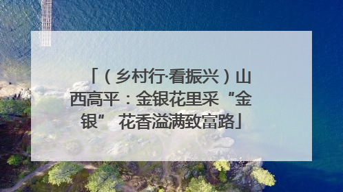 （乡村行·看振兴）山西高平：金银花里采“金银” 花香溢满致富路