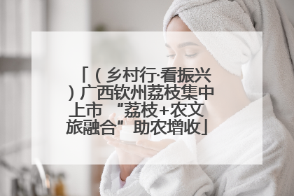 （乡村行·看振兴）广西钦州荔枝集中上市 “荔枝+农文旅融合”助农增收