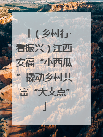 （乡村行·看振兴）江西安福“小西瓜”撬动乡村共富“大支点”