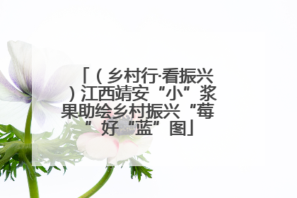 （乡村行·看振兴）江西靖安“小”浆果助绘乡村振兴“莓”好“蓝”图