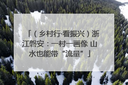 （乡村行·看振兴）浙江磐安：一村一画像 山水也能带“流量”