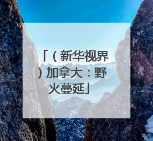 （新华视界）加拿大：野火蔓延