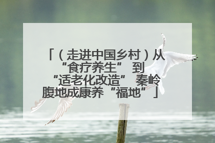 （走进中国乡村）从 “食疗养生” 到 “适老化改造” 秦岭腹地成康养“福地”