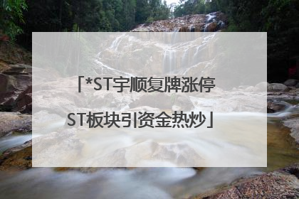 *ST宇顺复牌涨停 ST板块引资金热炒