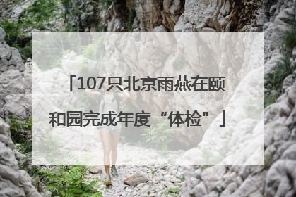 107只北京雨燕在颐和园完成年度“体检”