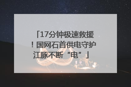 17分钟极速救援！国网石首供电守护江豚不断“电”