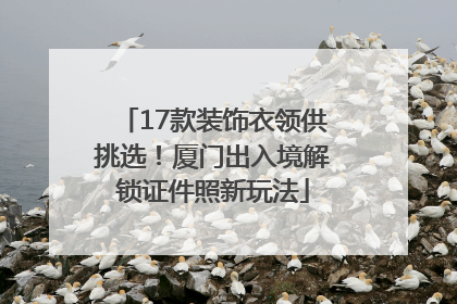 17款装饰衣领供挑选！厦门出入境解锁证件照新玩法