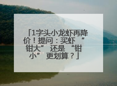 1字头小龙虾再降价！提问：买虾 “钳大” 还是 “钳小” 更划算？