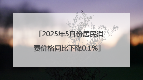2025年5月份居民消费价格同比下降0.1%