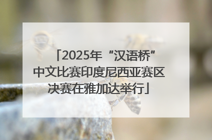 2025年“汉语桥”中文比赛印度尼西亚赛区决赛在雅加达举行