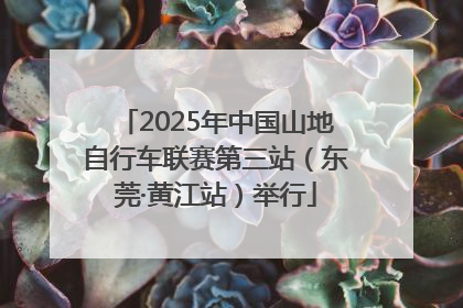 2025年中国山地自行车联赛第三站（东莞·黄江站）举行