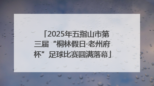 2025年五指山市第三届“桐林假日·老州府杯”足球比赛圆满落幕