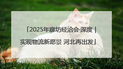 2025年廊坊经洽会·深度｜实现物流新愿景 河北再出发