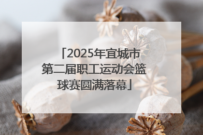 2025年宜城市第二届职工运动会篮球赛圆满落幕