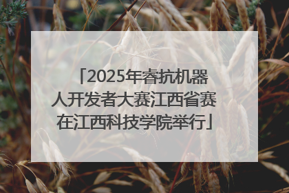 2025年睿抗机器人开发者大赛江西省赛在江西科技学院举行