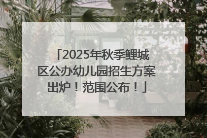 2025年秋季鲤城区公办幼儿园招生方案出炉！范围公布！