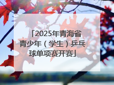 2025年青海省青少年（学生）乒乓球单项赛开赛