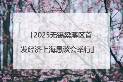 2025无锡梁溪区首发经济上海恳谈会举行