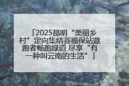 2025昆明“美丽乡村”定向集结赛福保站邀跑者畅跑绿道 尽享“有一种叫云南的生活”