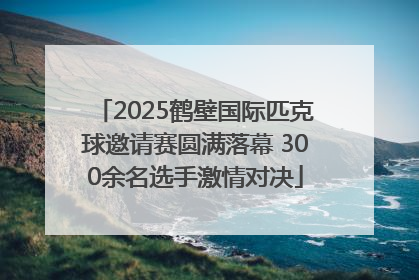 2025鹤壁国际匹克球邀请赛圆满落幕 300余名选手激情对决