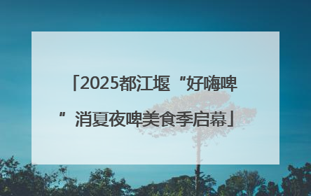 2025都江堰“好嗨啤”消夏夜啤美食季启幕