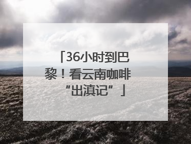 36小时到巴黎！看云南咖啡“出滇记”