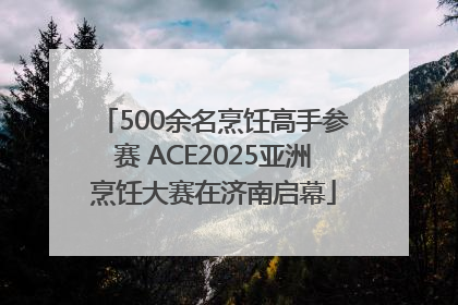 500余名烹饪高手参赛 ACE2025亚洲烹饪大赛在济南启幕