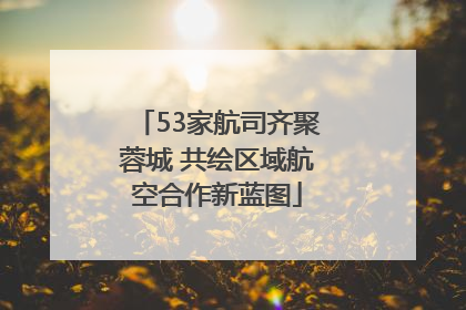 53家航司齐聚蓉城 共绘区域航空合作新蓝图