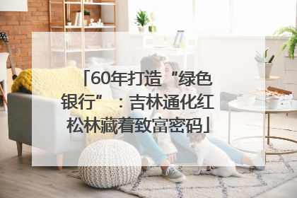 60年打造“绿色银行”：吉林通化红松林藏着致富密码