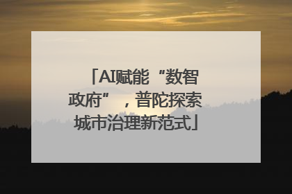 AI赋能“数智政府”，普陀探索城市治理新范式