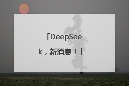 DeepSeek，新消息！